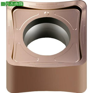 ��Walter �~�[�����O���H�p �����`�l�K�`�b�v WK10�s10���t�k�i��:SNHX0904ZNNK88�l�y4115969×10:0�z[�����ʓr���ς�][�f�O���][�X�����s��]