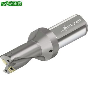 ��Walter �`�b�v�������h���� D4120�k�i��:D4120.0223.80F31P43�l�y4117272:0�z[�����ʓr���ς�][�f�O���][�X�����s��]