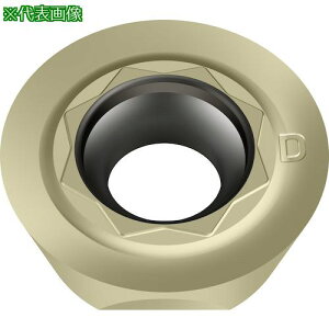 ��Walter �~�[�����O���H�p �ۋ�|�W�`�b�v WSM45X�s10���t�k�i��:ROMX10T3M0D67�l�y4117323×10:0�z[�����ʓr���ς�][�f�O���][�X�����s��]