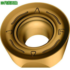 ��Walter �~�[�����O���H�p �ۋ�|�W�`�b�v WSM45X�s10���t�k�i��:ROMX10T3M0F67�l�y4117366×10:0�z[�����ʓr���ς�][�f�O���][�X�����s��]