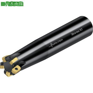 Walter Jb^[ M5008-A~(Xg[g)^Cv 5nki:M5008032A320501ly4117628:0z[ʓrς][fO][Xs]