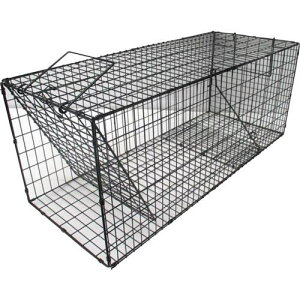 O[NX X[p[ߊl  LL^ki:6300028757ly4118461:0z[ʓrς][@lEƏ][O][Xs]