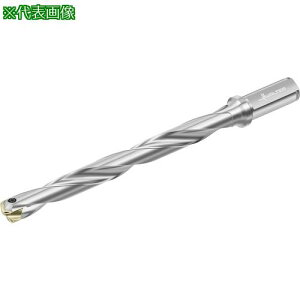 ��Walter �`�b�v�������h���� D4140�k�i��:D4140.1012.00F15A�l�y4118599:0�z[�����ʓr���ς�][�f�O���][�X�����s��]