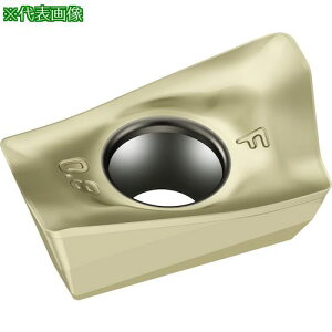 ��Walter �~�[�����O���H�p �Ђ��`�|�W�`�b�v WSM45X�s10���t�k�i��:ADMT160608RF56�l�y4118940×10:0�z[�����ʓr���ς�][�f�O���][�X�����s��]