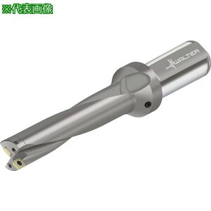 ��Walter �`�b�v�������h���� D4120�k�i��:D41200542.00F40P46�l�y4118959:0�z[�����ʓr���ς�][�f�O���][�X�����s��]