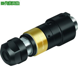 ��Walter �����˂��؂�A�_�v�^�[ AB035-N�k�i��:AB035N40ER20105�l�y4119058:0�z[�����ʓr���ς�][�f�O���][�X�����s��]