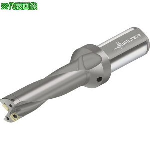 ��Walter �`�b�v�������h���� D4120�k�i��:D4120.0423.80F31P43�l�y4120500:0�z[�����ʓr���ς�][�f�O���][�X�����s��]