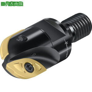 ��Walter �킢���H�p�J�b�^�[�k�i��:F2339.TC12.025.Z02.20�l�y4120880:0�z[�����ʓr���ς�][�f�O���][�X�����s��]