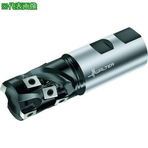 ��Walter �|�[�L���p�C���J�b�^�[�k�i��:F5038.W25.025.Z02.32�l�y4122001:0�z[�����ʓr���ς�][�f�O���][�X�����s��]