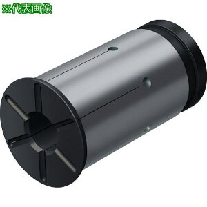 Walter ON[gpA_v^[X[u FS...ki:FS2215ly4122006:0z[ʓrς][fO][Xs]