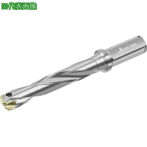 ��Walter �`�b�v�������h���� D4140�k�i��:D4140.0512.00F15A�l�y4122300:0�z[�����ʓr���ς�][�f�O���][�X�����s��]