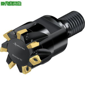 Walter Jb^[ M5130-TCXg[gW^Cv 5nki:M5130025TC120505ly4122365:0z[Xs]