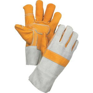 O[NX hU V-1000ki:6300028817ly4123209:0z[ʓrς][@lEƏ][O][Xs]