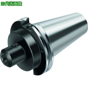 ��Walter �E�G���h���V�����N�A�_�v�^�[ ASME B5.50 AB044.K�k�i��:AB044.K40W26044�l�y4125257:0�z[�����ʓr���ς�][�f�O���][�X�����s��]