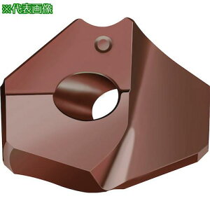 ��Walter �|�C���g�h�����`�b�v WKK45C�k�i��:P6005D1240R�l�y4125501:0�z[�����ʓr���ς�][�f�O���][�X�����s��]