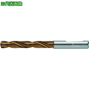 Titex N[gdldhki:DC1600523.000F1WJ30ETly4125788:0z[ʓrς][fO][Xs]