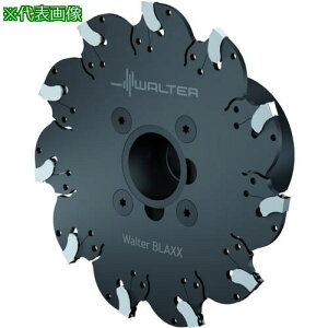 ��Walter �X���b�g����уL�[�a�p�J�b�^�[�k�i��:F5055.BN22.100.Z09.40R�l�y4126720:0�z[�����ʓr���ς�][�f�O���][�X�����s��]