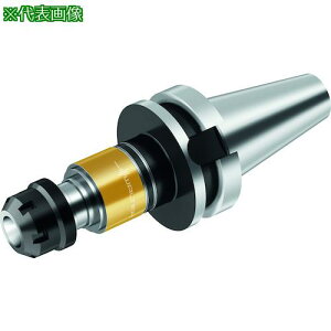 ��Walter �����˂��؂�A�_�v�^�[ AB035-J�k�i��:AB035J30ER20105�l�y4126907:0�z[�����ʓr���ς�][�f�O���][�X�����s��]