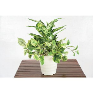 O[NX lH/lHϗtA fBtFoLAAki:6300028770ly4127792:0z[ʓrς][@lEƏ][O][Xs]