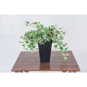 O[NX lH/lHϗtA I_ACr[ki:6300028777ly4127796:0z[ʓrς][@lEƏ][O][Xs]