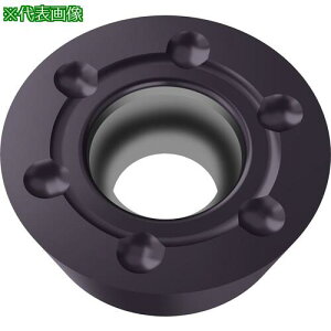 ��Walter �~�[�����O���H�p �ۋ�|�W�`�b�v WKP35S�s10���t�k�i��:RDHW10T3M0TA27�l�y4128188×10:0�z[�����ʓr���ς�][�f�O���][�X�����s��]