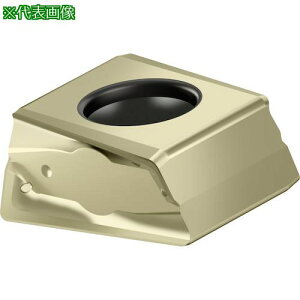 ��Walter �~�[�����O���H�p �Ђ��`�c�u���`�b�v WKP35S�s10���t�k�i��:LNMU130608RL55T�l�y4128434×10:0�z[�����ʓr���ς�][�f�O���][�X�����s��]