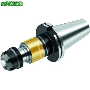 ��Walter �����˂��؂�A�_�v�^�[ AB035-S�k�i��:AB035S40ER20102�l�y4128542:0�z[�����ʓr���ς�][�f�O���][�X�����s��]