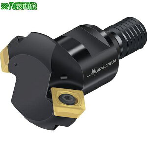 Walter ʎJb^[ki:M4574020TC100205ly4128774:0z[ʓrς][fO][Xs]