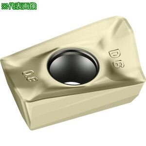 ��Walter �~�[�����O���H�p �Ђ��`�|�W�`�b�v WKP35G�s10���t�k�i��:ADGT10T3PERD67�l�y4131664×10:0�z[�����ʓr���ς�][�f�O���][�X�����s��]