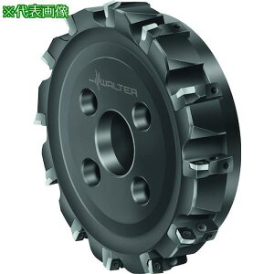 ��Walter �����J�b�^�[�k�i��:F2010.B.250.Z12.08.R751M�l�y4132946:0�z[�����ʓr���ς�][�f�O���][�X�����s��]