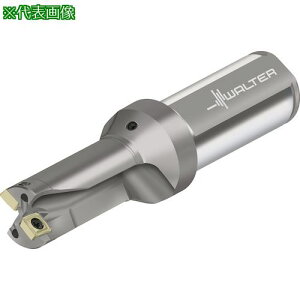��Walter �`�b�v�������h���� D3120�k�i��:D31200223.00F25P22�l�y4133152:0�z[�����ʓr���ς�][�f�O���][�X�����s��]