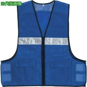 ACgX bV[bPxXg AZ8700 u[ 3Lki:AZ87000063Lly4135719:0z[ʓrς][fO][Xs]