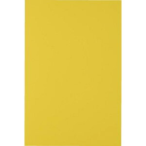 ��TRUSCO �}�O�l�b�g�V�[�g���L200X300 ���k�i��:MSA2Y�l�y4144741:0�z[�X�����s��]