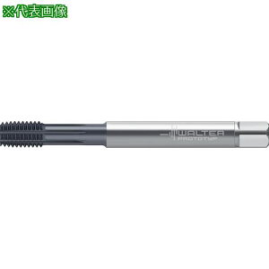 Prototyp d]^bvki:TC470M4C6WG20ELly4170151:0z[ʓrς][fO][Xs]