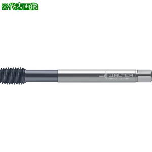 Prototyp HSS-E-PM ]^bvki:TC430M16X1.5L1WW60ELly4173222:0z[ʓrς][fO][Xs]