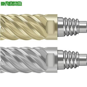 Prototyp dGh~ki:MD12810.0E6XWJ30RDly4173271:0z[ʓrς][fO][Xs]