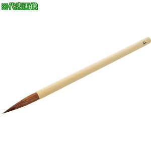 N_uV M 4ki:05901004ly4173639:0z[ʓrς][fO][Xs]