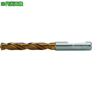 Titex dcCXghki:DC1600508.000F0WJ30ETly4176063:0z[ʓrς][fO][Xs]