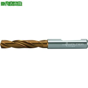 Titex N[gdldhki:DC1600307.000F1WJ30ETly4176106:0z[ʓrς][fO][Xs]