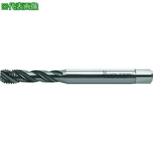 ��Prototyp HSS-E (-PM) �}�V���^�b�v�k�i��:TC121M10C0WW60RG�l�y4176213:0�z[�����ʓr���ς�][�f�O���][�X�����s��]