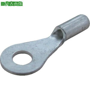 ��JST �ی^�[�q 5.5-4NS (1��(��)=100��)�k�i��:5.54NS�l�y4224809:0�z[�X�����s��]