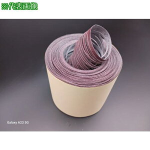���O�� FWJR �z�X���b�g���[�� 100X15M #320�k�i��:FWJRST100X15M320�l�y4228322:0�z[�����ʓr���ς�][�f�O���][�X�����s��]