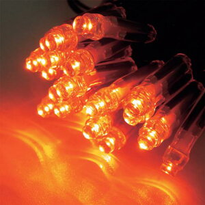 ��tlight LED�C���~�l�[�V���� �J���t�H���j�A�I�����W(�g�U�^)�s24�{���t�k�i��:CSBCO1100100P2�l�y4235353×24:0�z[�����ʓr���ς�][�@�l�E���Ə�����][�f�O���][�X�����s��]