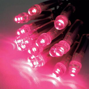 ��tlight LED�C���~�l�[�V���� �A�U���A(�g�U�^)�s24�{���t�k�i��:CSBAZ1100100P2�l�y4235422×24:0�z[�����ʓr���ς�][�@�l�E���Ə�����][�f�O���][�X�����s��]