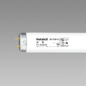 HotaluX ǃX^[^` ʏƖpuv CtC 30W Fs25{tki:FL30SWly4239582×25:0z[Xs]