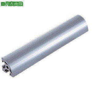 item Xgbgvt@C5ki:L5SPLR2020N3Mly4239970:0z[ʓrς][fO][Xs]