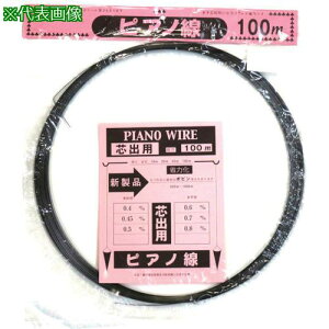 DAIDOHANT sAm [SWP-A] (a) 3.0mm × () 100M ki:00053727ly4241600:0z[ʓrς][fO][Xs]