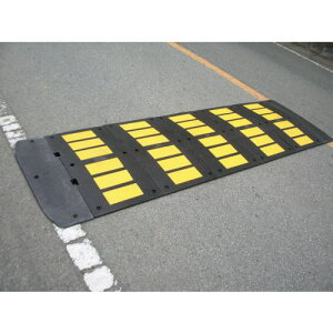 TZt TYPE2 3mZbg RN[gpki:TYPE2COly4247846:0z[ʓrς][@lEƏ][O][Xs]