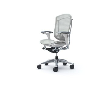 OKAMURA RebTZR_ I bV nCobN5{r |bV zCg o[tnK[ nFCgO[ki:CC81BZFPG3ly4272461:0z[ʓrς][@lEƏ