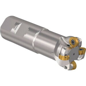 ���Z�R �t���C�X �ۋ�J�b�^ R217.29I�[06�k�i��:R217.29I3240.306055.4A�l�y4282059:0�z[�X�����s��]